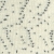26b-2.jpg