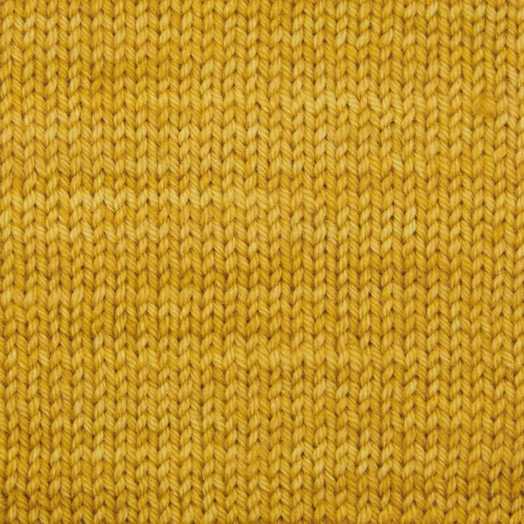 terra-turmeric-3.webp