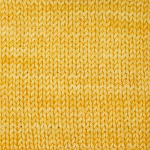 SYMFONIE_Terra_SS2022